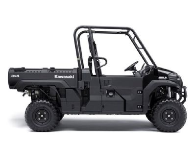 MULE PRO FX