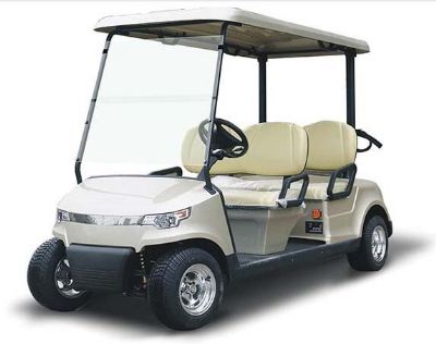 DG-C4-new