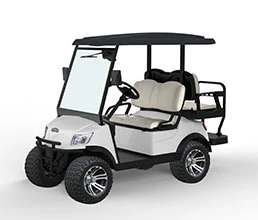 DH-C2 -M2S 2024 מתלים נפרדים מלפנים מסך לד מצלמת רוורס מערכת שמע חישוקים מגנזיום חגורות בטיחות מובנה חלון + מגב ספסל אחורי תוספת לליתיום 3000 ש"ח DG-M2 ליטיום 38000